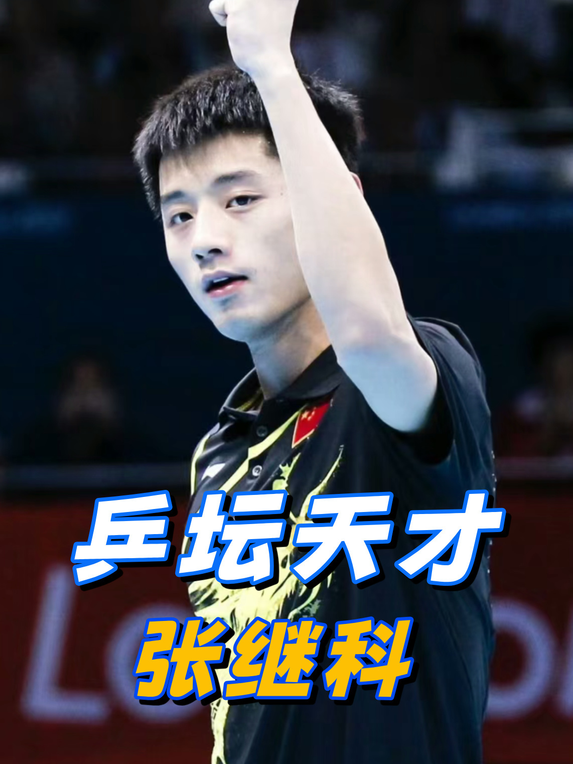 PG电子试玩官网-波兰乒乓球队力克英国乒乓球队，张继科惊艳世界的简单介绍