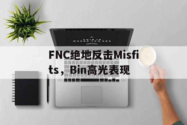 PG电子官网-FNC绝地反击Misfits，Bin高光表现的简单介绍