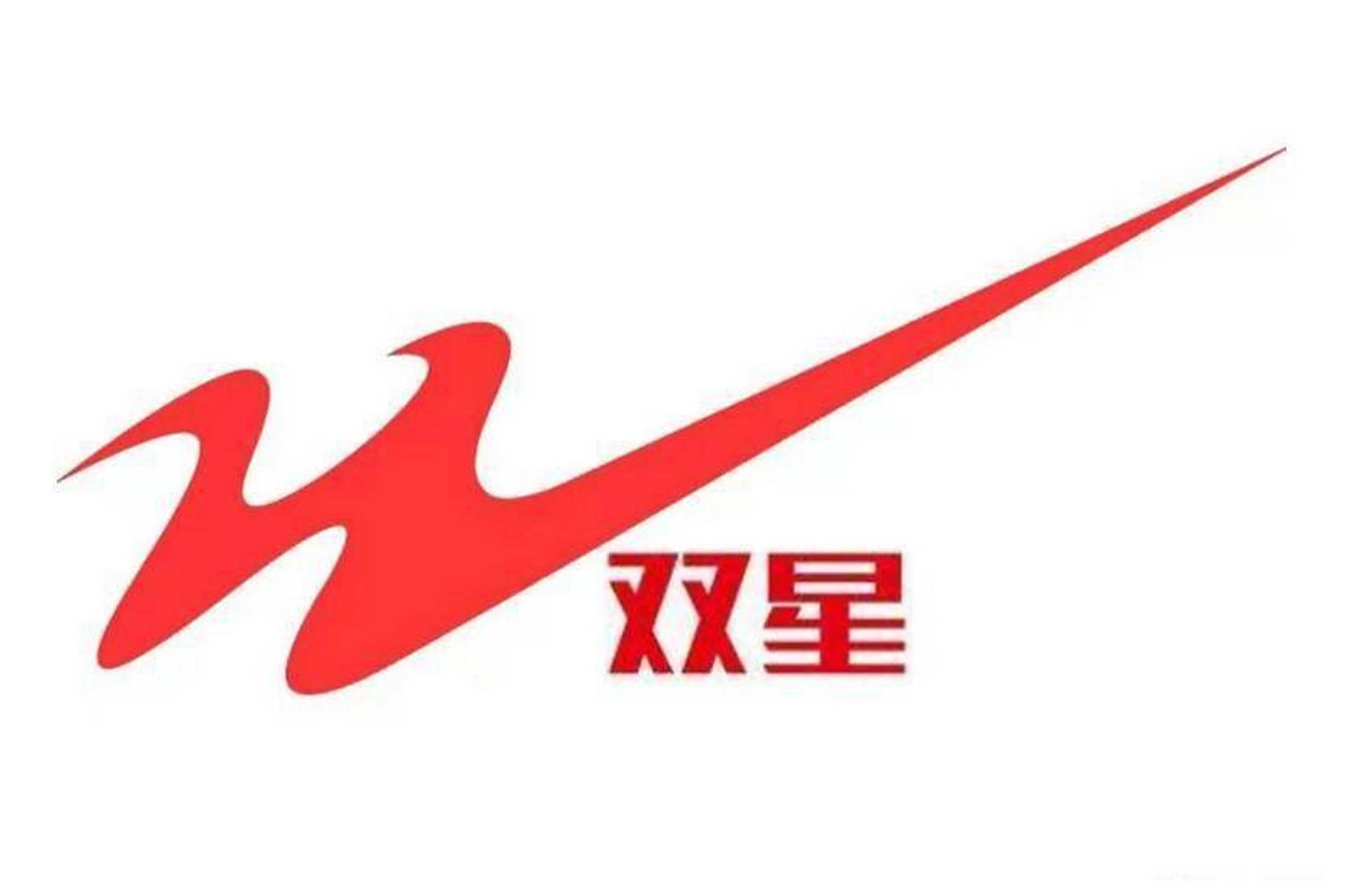 PG电子官网-雷恩势在必得,将力争晋级世界杯